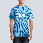 Adult Tie-Dye T-Shirt - Roundy Thumbnail